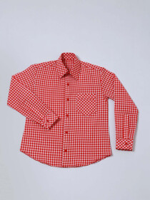 Phineas Red/White Checked Cotton Shirts for Boys