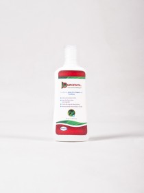 Dizorol Anti Dandruff Shampoo