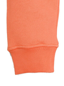 Orange Men Fleece Hooded Sweatshirt