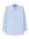 Cotton Basic Sky Blue Striped Shirt