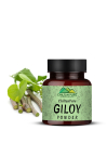 Giloy Powder – Improves Digestive Health, Strengthen Immune System, Good for Vision & Helps in the Management of Type II Diabetes