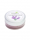 Lavender Lip Balm